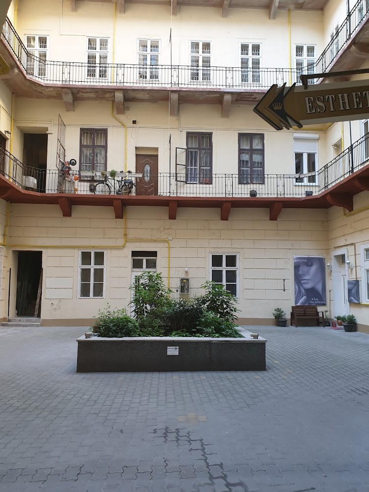 Gallery image