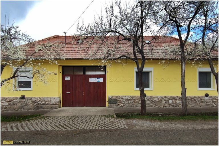Gallery image