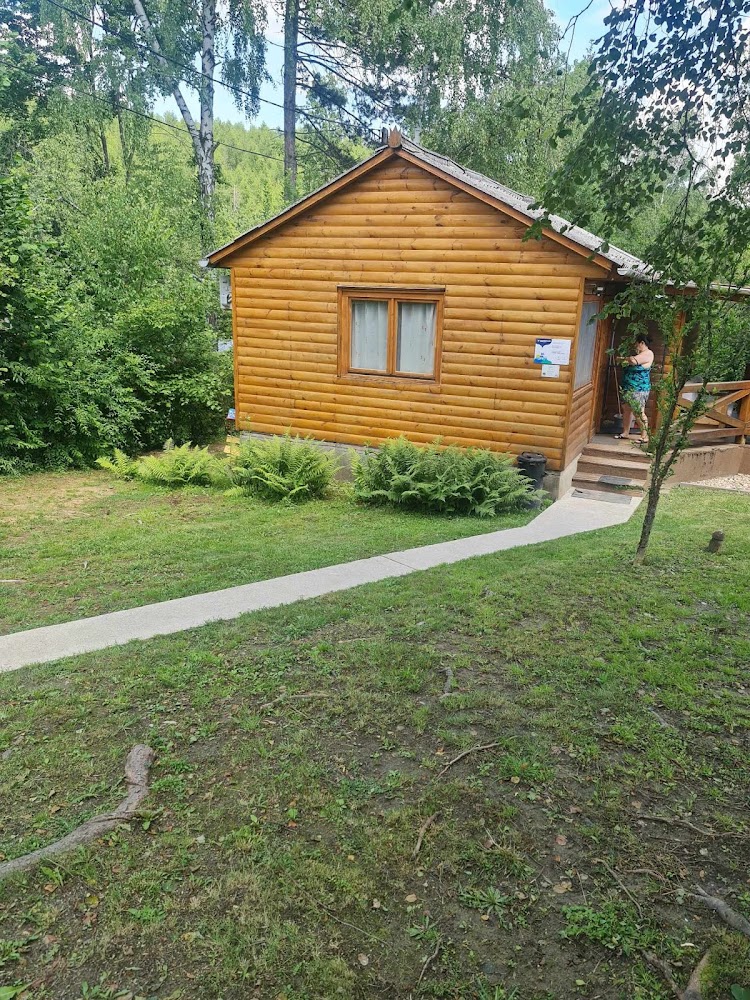 Gallery image
