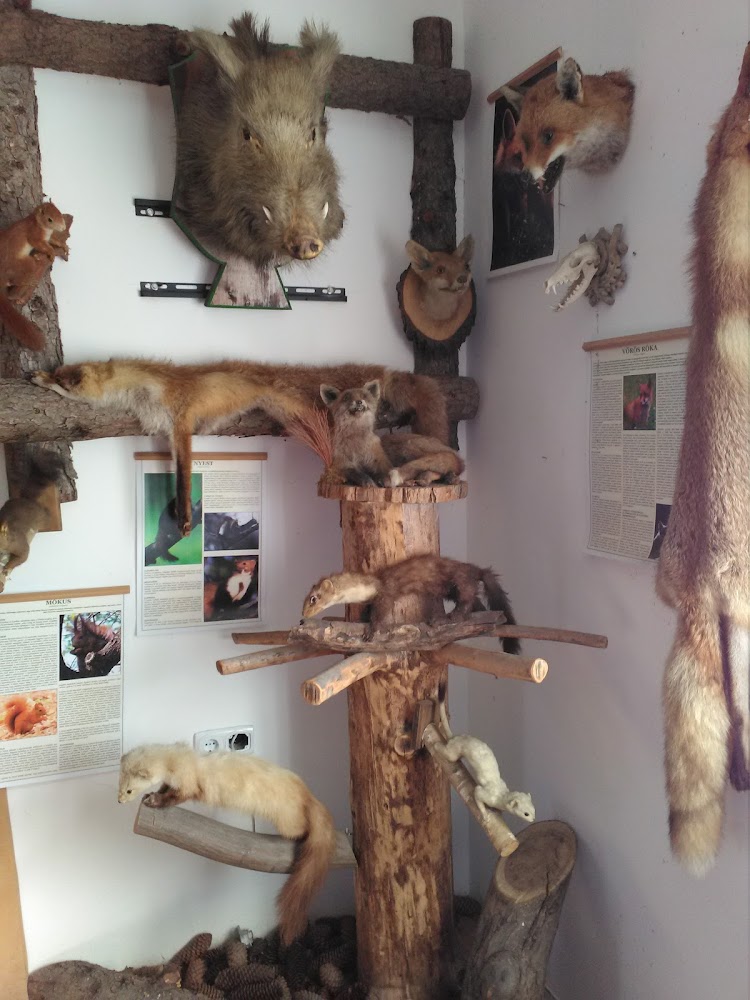 Gallery image