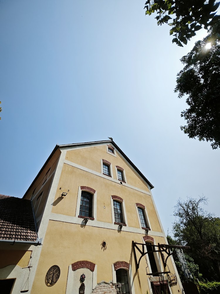 Gallery image