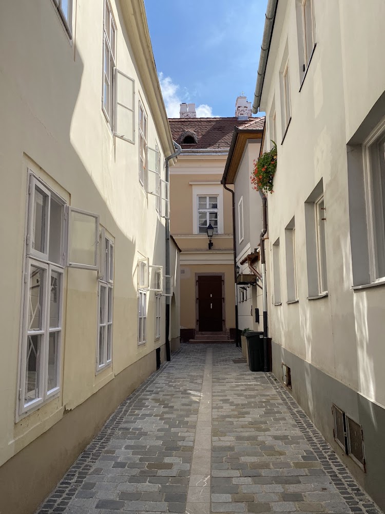 Gallery image