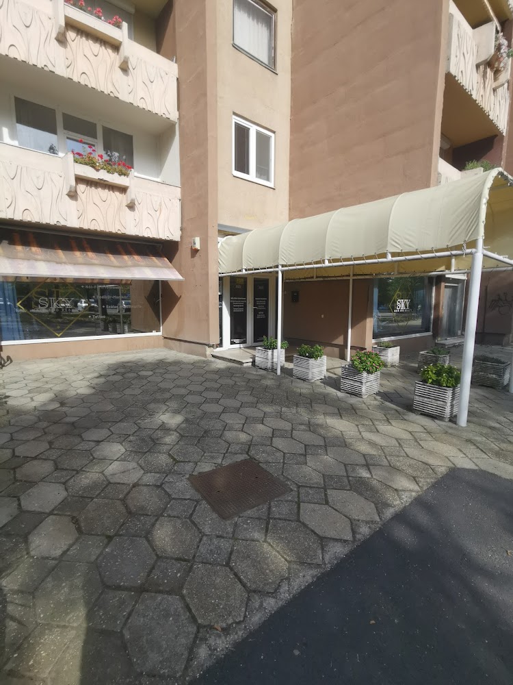 Gallery image
